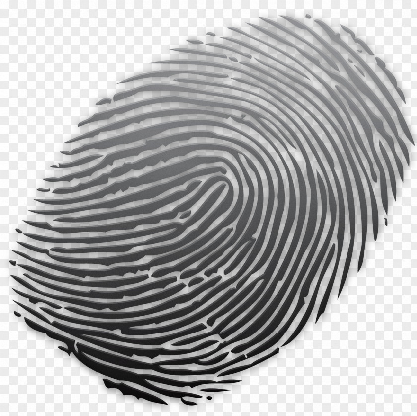 Fingerprints Fingerprint Powder Coating Glass Spiral PNG