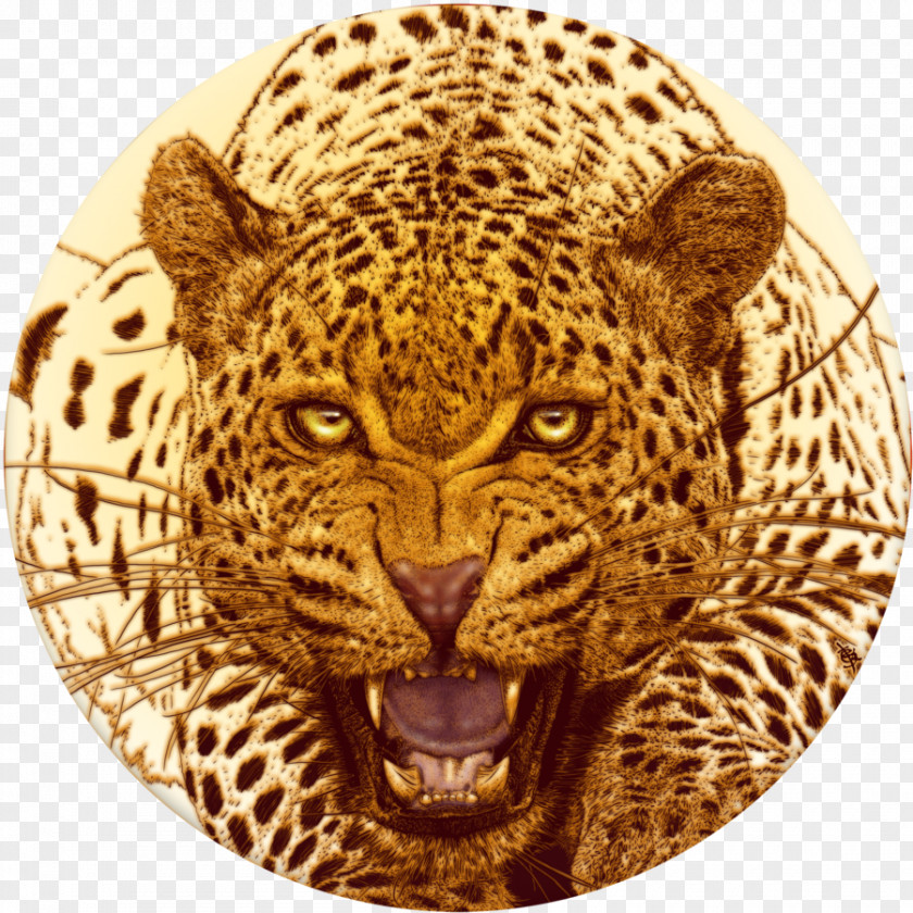 Leopard Cheetah Jaguar Tiger Lion PNG