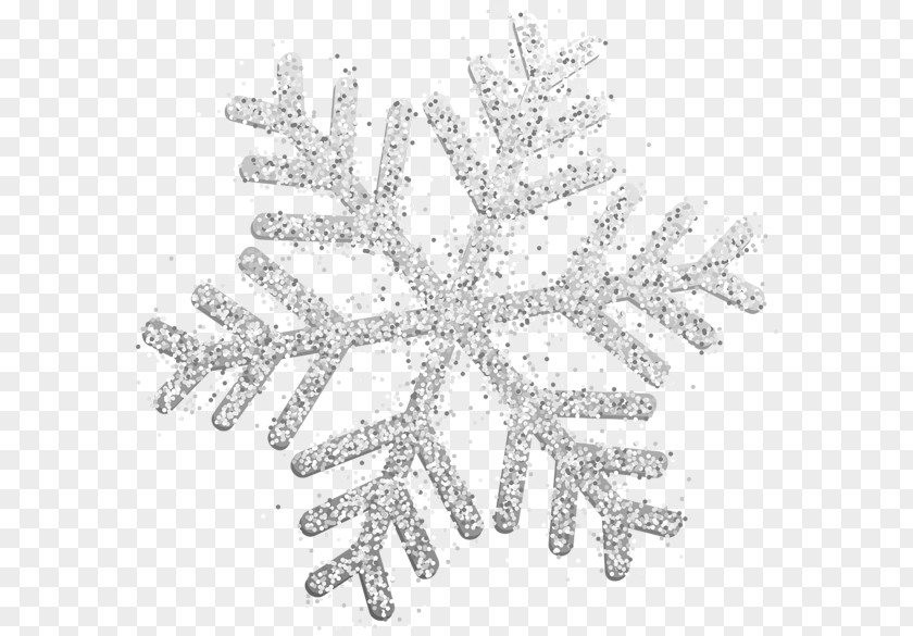 Snowflake Gallery Yopriceville Clip Art Image PNG