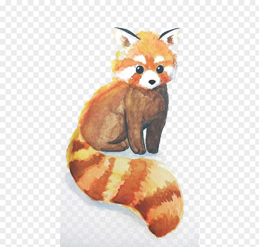 Watercolor Small Raccoon Red Panda The Giant Bear Drawing PNG