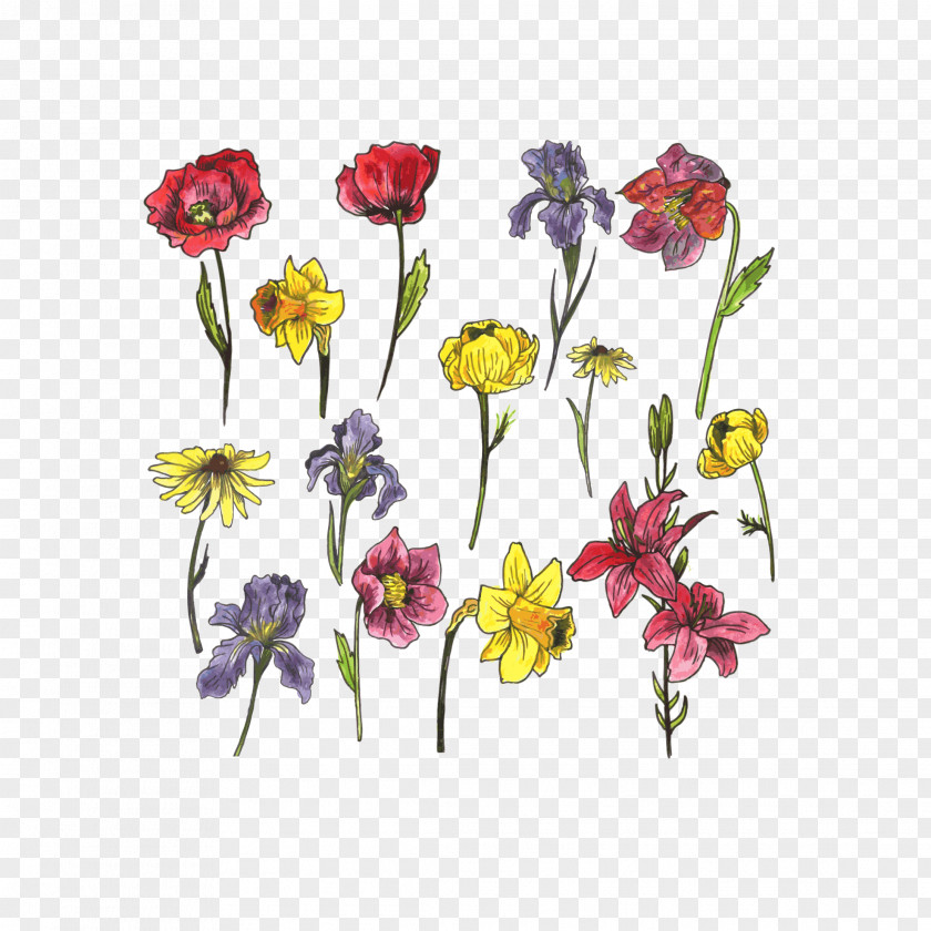 Flowers Vector Free Pull Watercolor Painting Euclidean Flower PNG