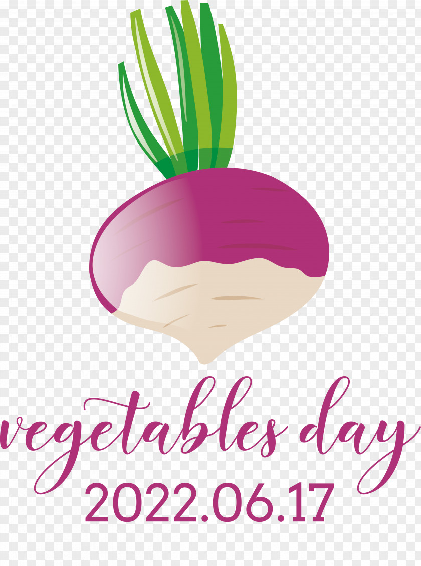 Logo Line Text Flower Fruit PNG