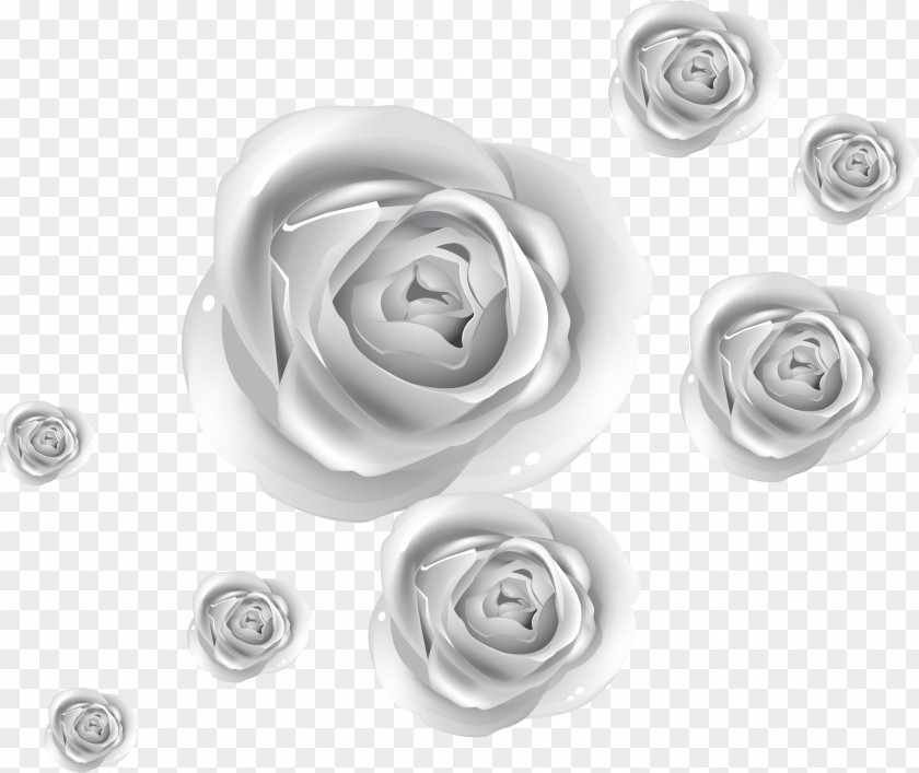 Silver Roses Rose PNG
