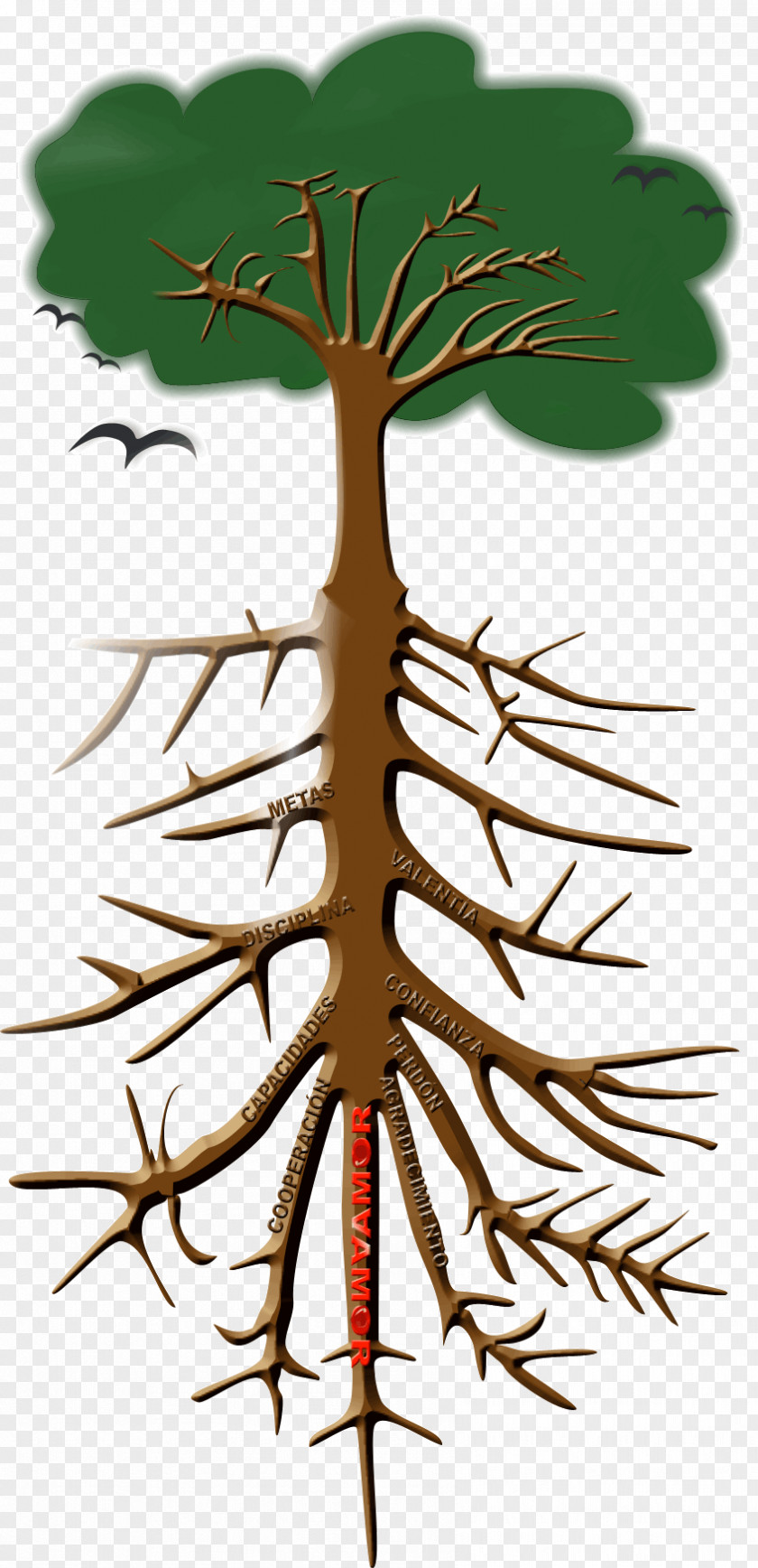 Tree Twig Root Plant Stem Leaf PNG