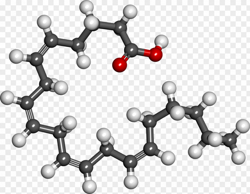 Acid Arachidonic Eicosatetraenoic Carboxylic Chemistry PNG
