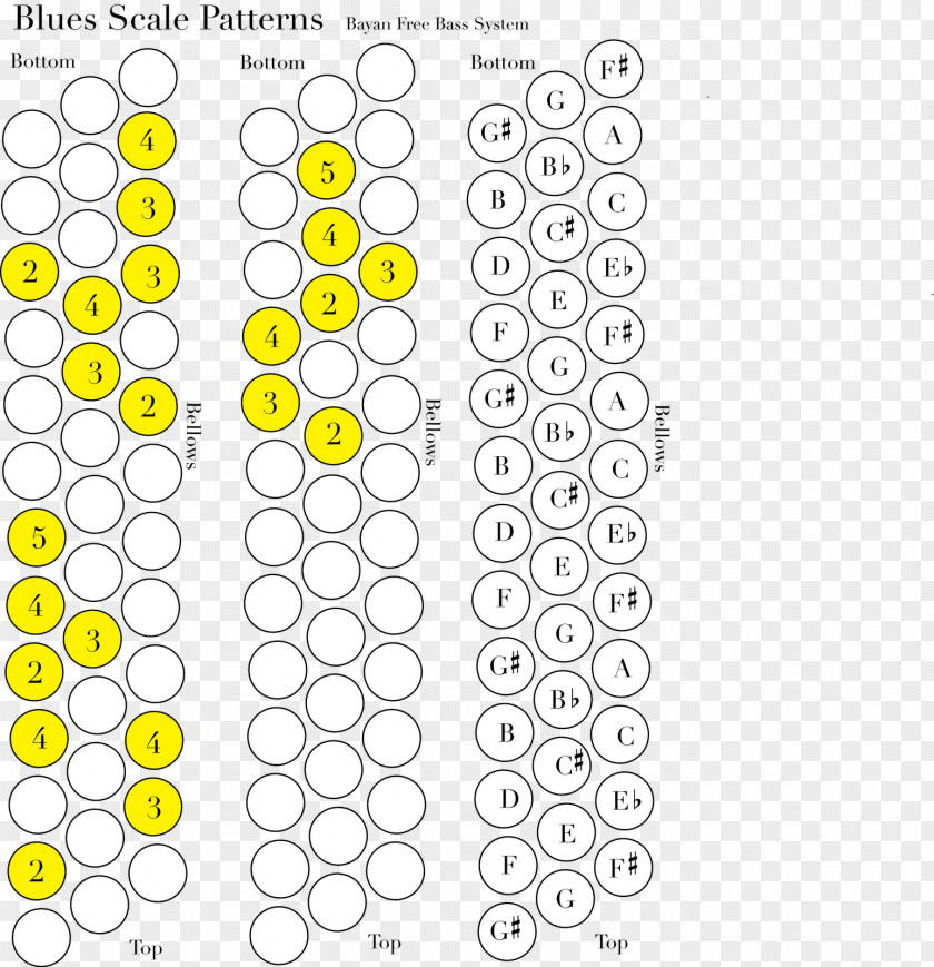 Accordion Diatonic Button Musical Instruments Chromatic Scale Note PNG