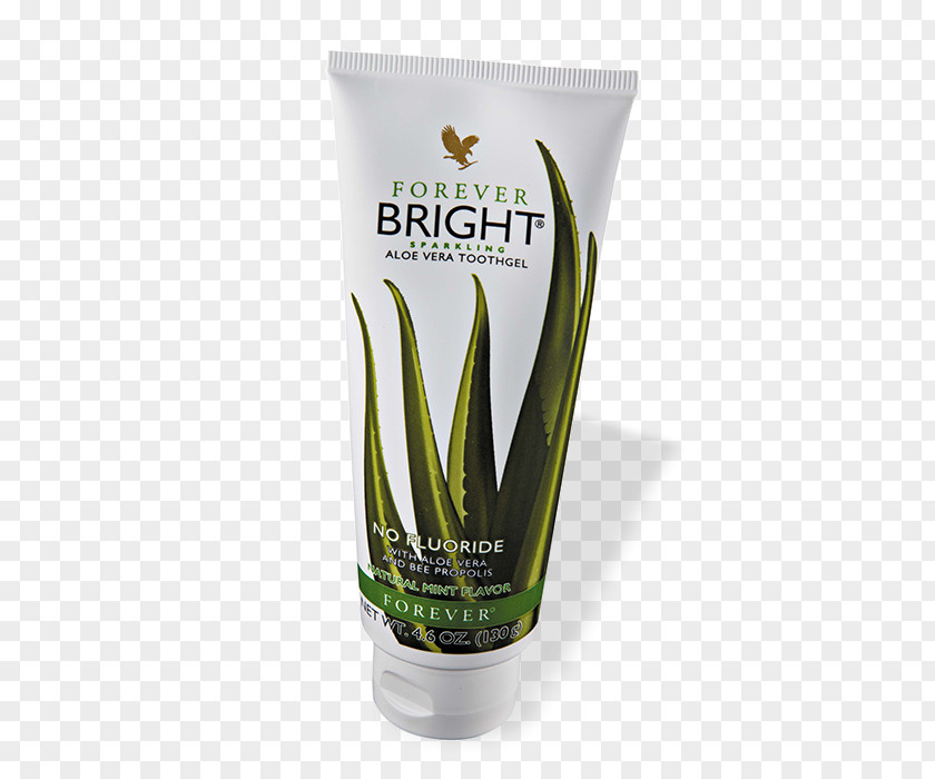 Forever Living Productsindependent Distributor Aloe Vera Products Gel Human Tooth PNG