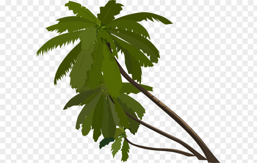 Zealous Cliparts Animation Tree Arecaceae Clip Art PNG