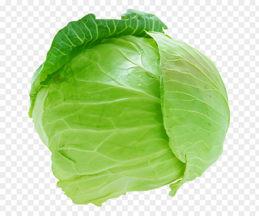 Cabbage Cauliflower Coleslaw Leaf Vegetable PNG