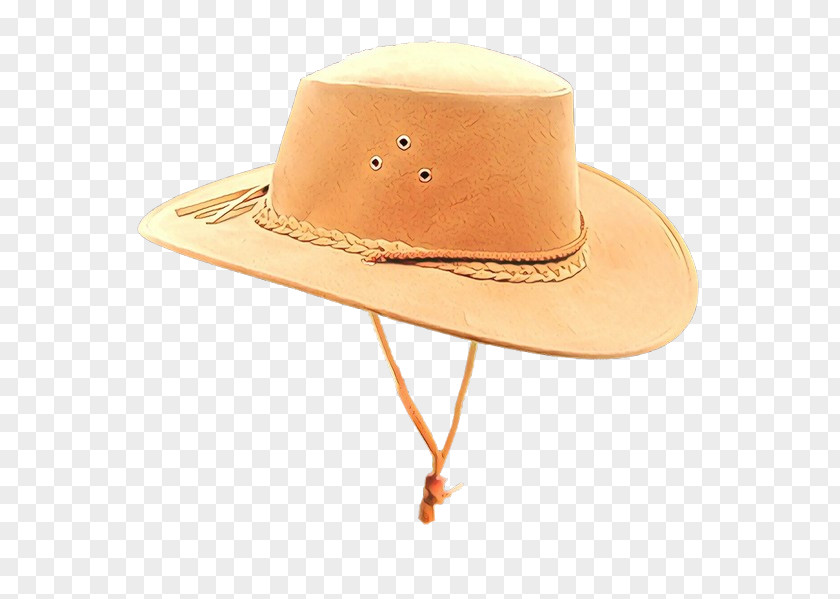 Costume Accessory Sun Hat PNG