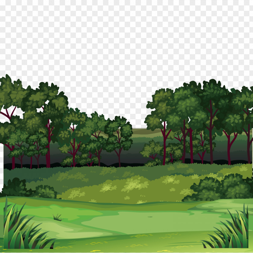 Jungle Scenery Forest Clip Art PNG
