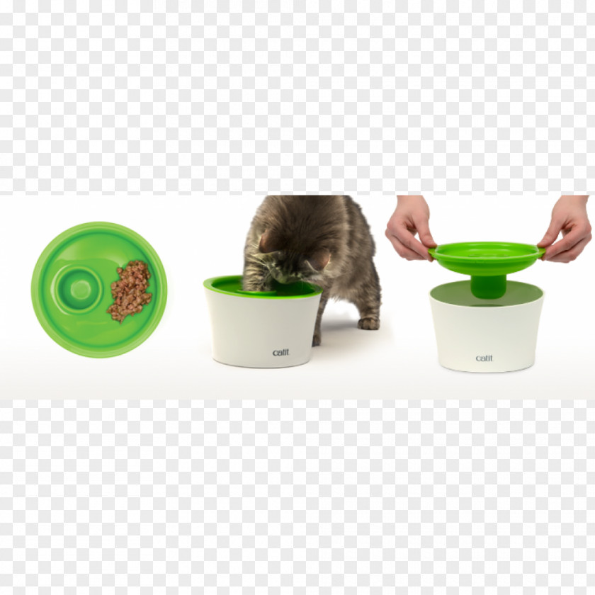 Multipurposefluorescent Cat Food Nekojam Singapore Online Pet Store Dog Kitten PNG