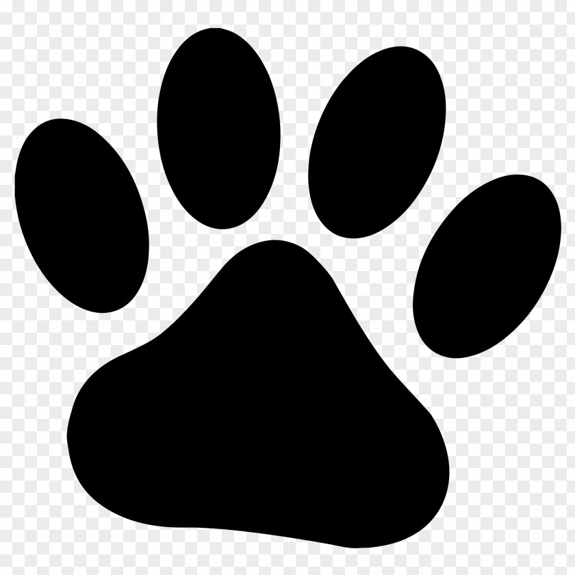 Paws Dog Bear Cougar Paw Clip Art PNG