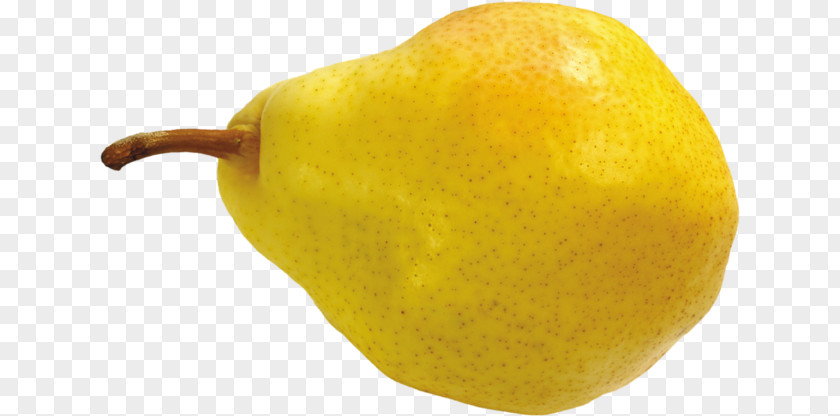 Pear Photography PNG