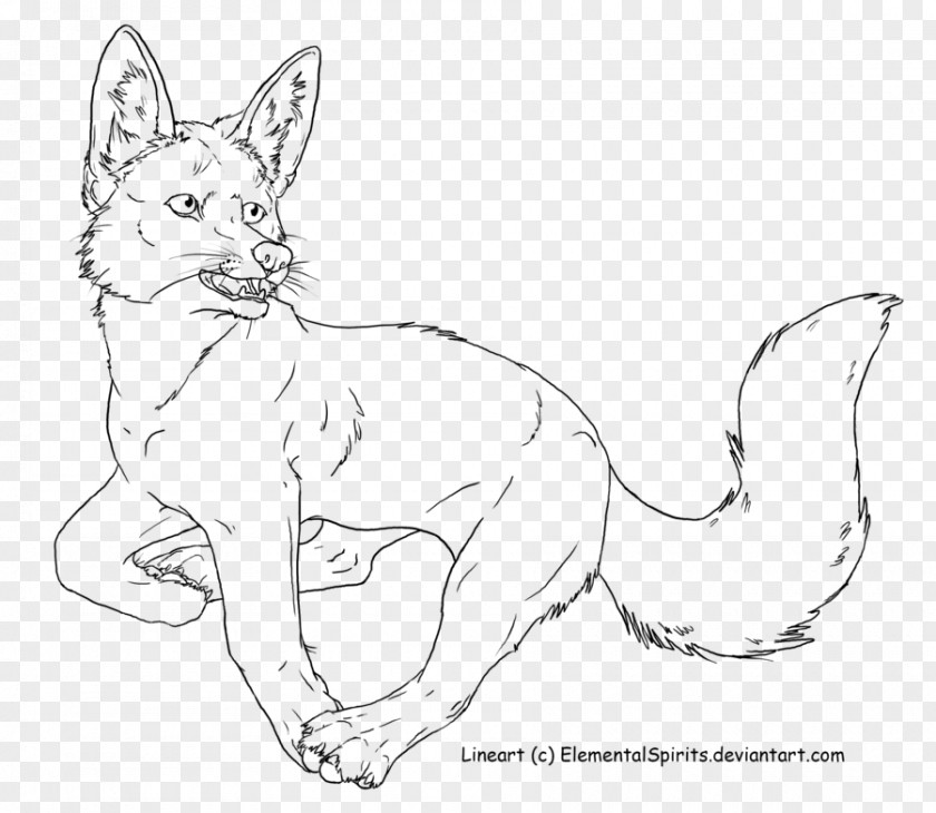 Cat Whiskers Wildcat Red Fox Dog PNG