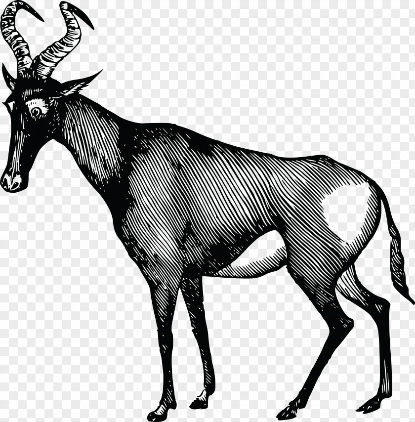 Deer African Antelope Clip Art PNG