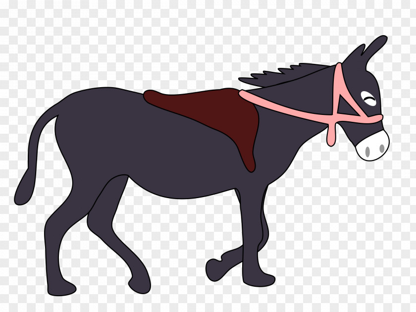 Donkey Saddle Clip Art PNG