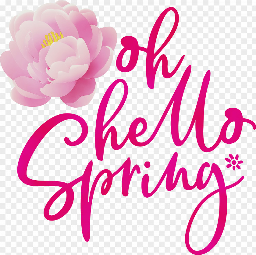 Floral Design PNG