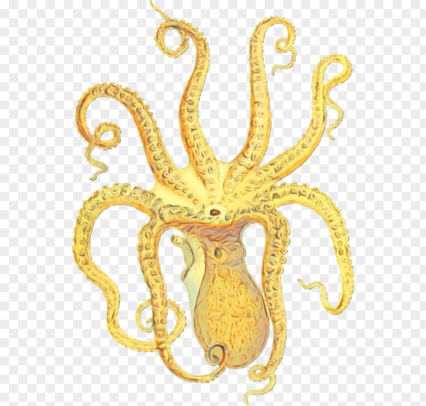 Giant Pacific Octopus Marine Invertebrates PNG