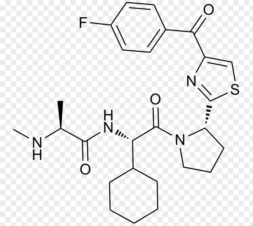 Glutathione Molecule Amino Acid Chemical Compound Organic PNG