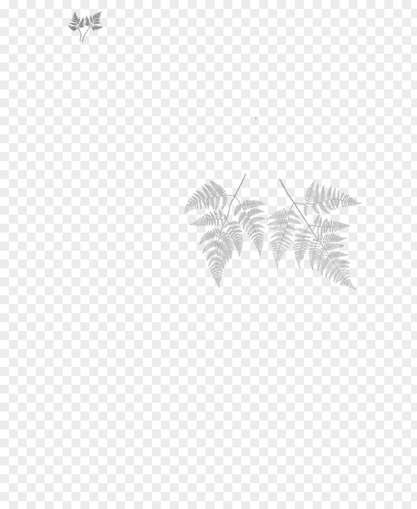 Line Flowering Plant Leaf Branching Font PNG