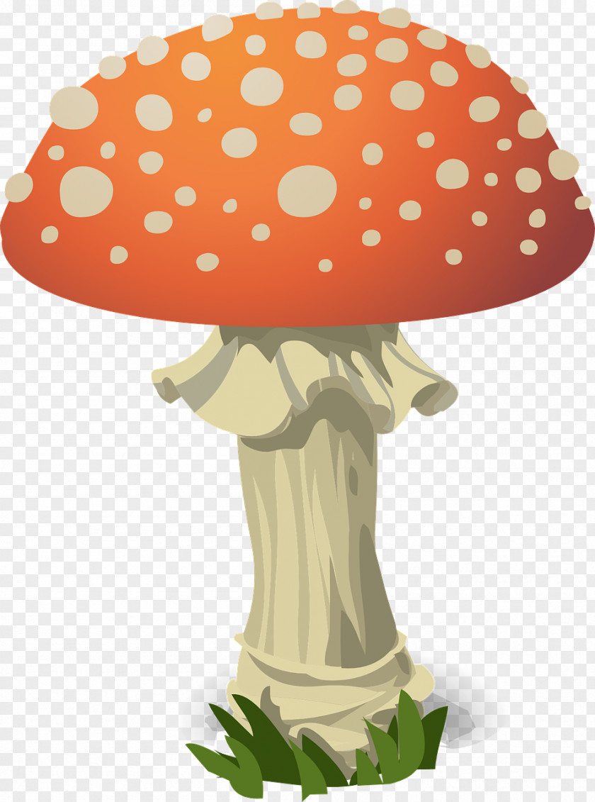 Mushroom Download Fungus Clip Art PNG