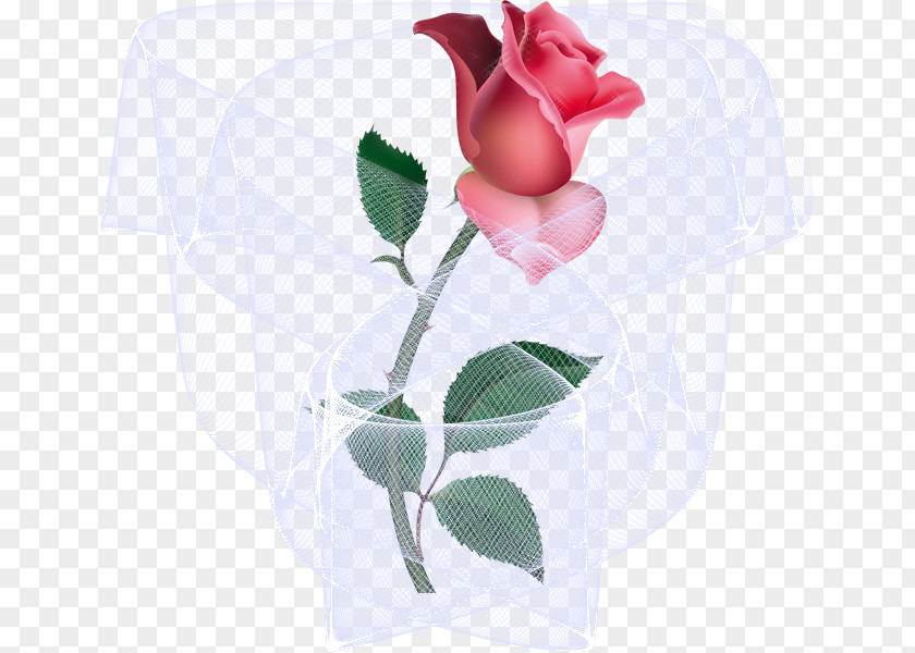 Rose Clip Art Openclipart Pink Flower PNG