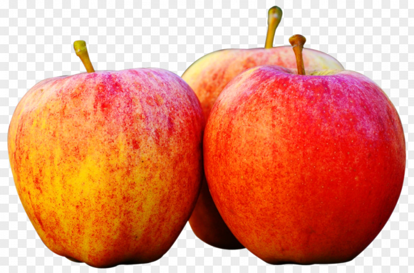 Three Apples Apple Fruit Clip Art PNG