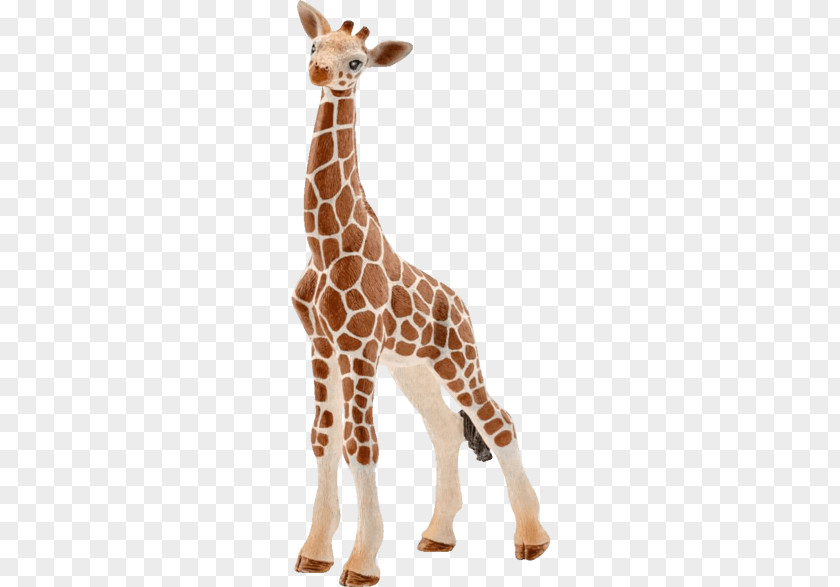 Figurine Fawn Giraffe Giraffidae Animal Figure Wildlife Snout PNG