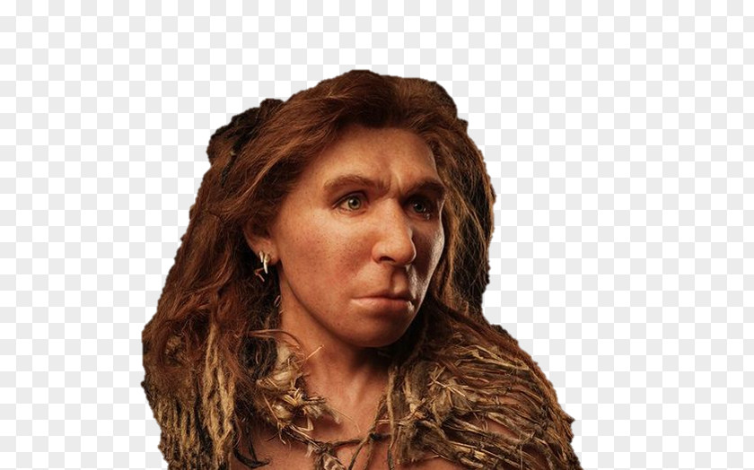 Homo Sapiens Neandertal Paleolithic Reconstruction Era Human Evolution PNG