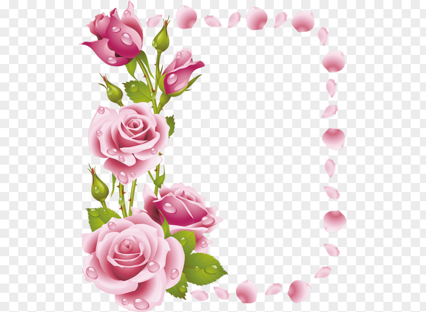 Painting Floral Design Rose Pink Clip Art PNG