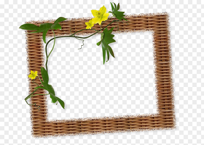Abeja Frame Image Picture Frames Photography Graphics PNG