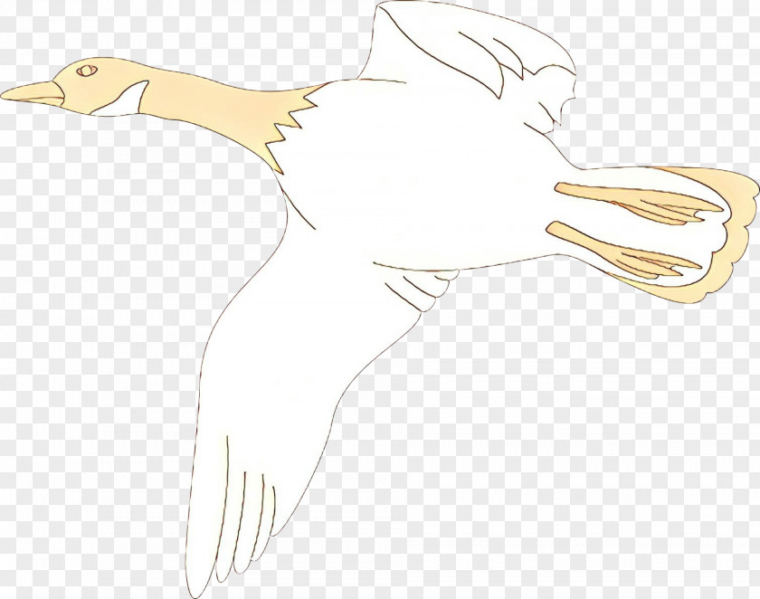 Bird Goose Stork Water Beak PNG