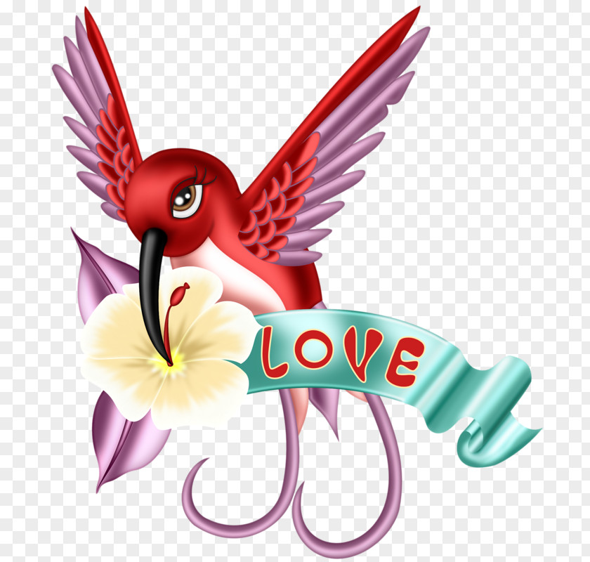 Bird Ruby-throated Hummingbird Clip Art PNG