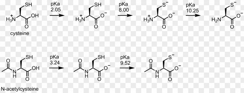 Cysteine Methionine Deprotonation Thiol PKa PNG