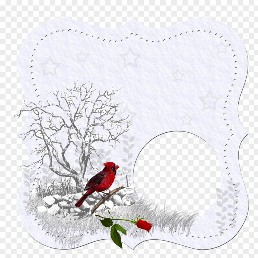 Nostalgic Background Beak Bird Picture Frames Northern Cardinal PNG