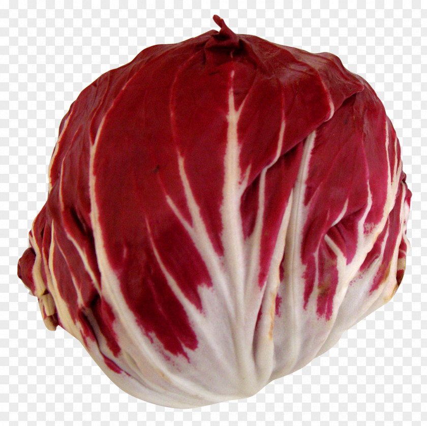 Radicchio Chicory Vegetable Ham PNG