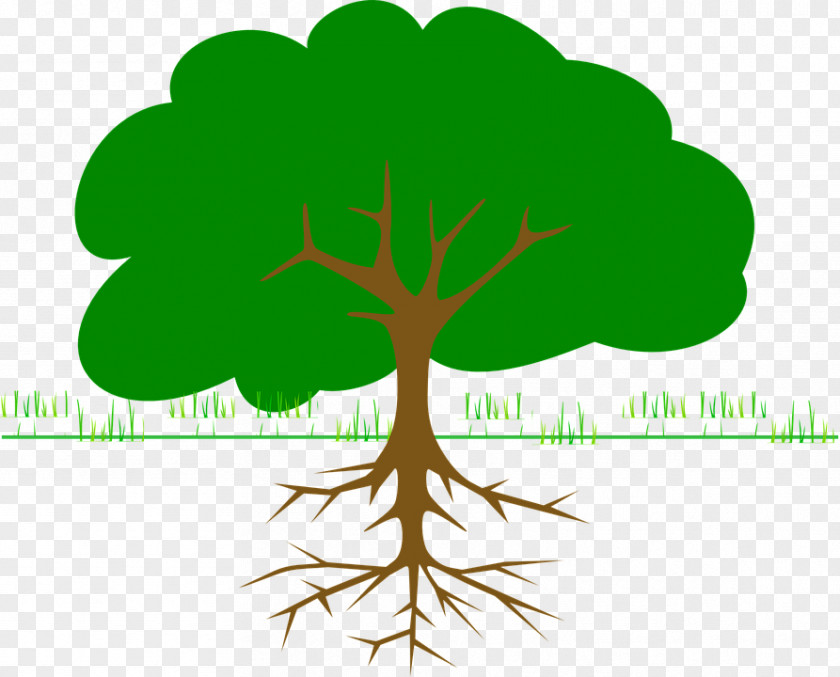 Tree Of 40 Fruit Clip Art PNG