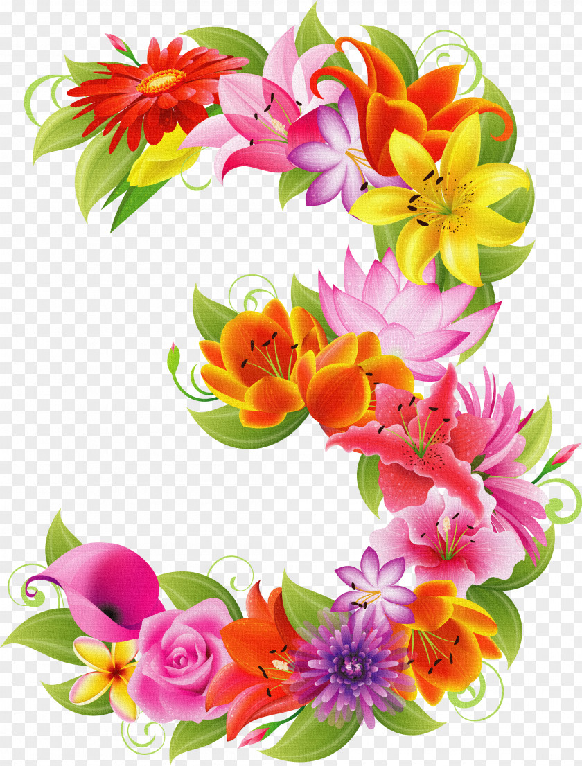 3 Flower Number PNG