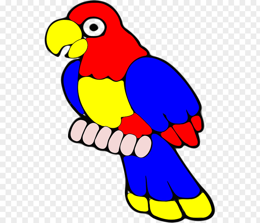Blue Tropical Parrot Bird Atlantic Canary Clip Art PNG