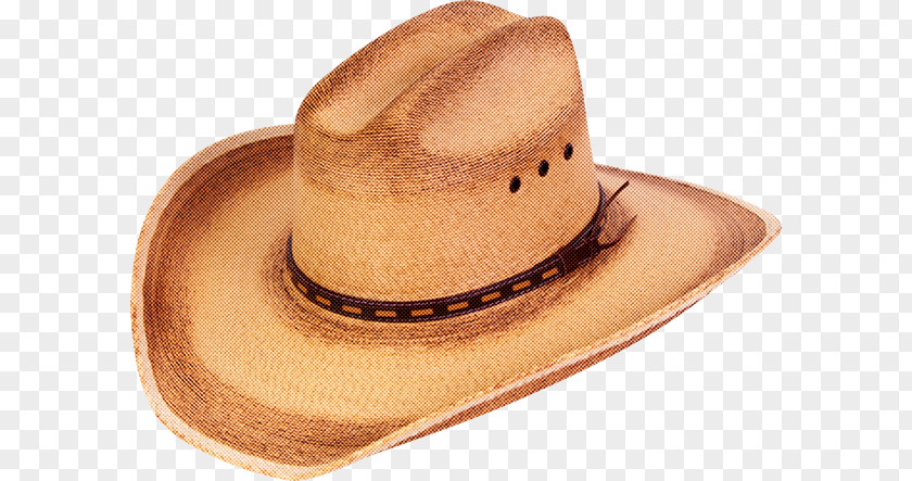 Costume Fedora Cowboy Hat PNG