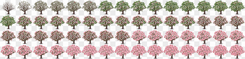 Fir-tree Sprite Desktop Wallpaper Fruit Tree PNG