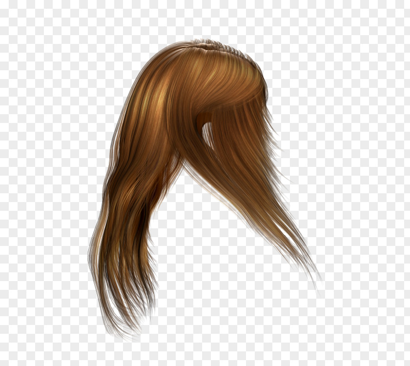 Hair Hairstyle Cabelo Wig Brown PNG