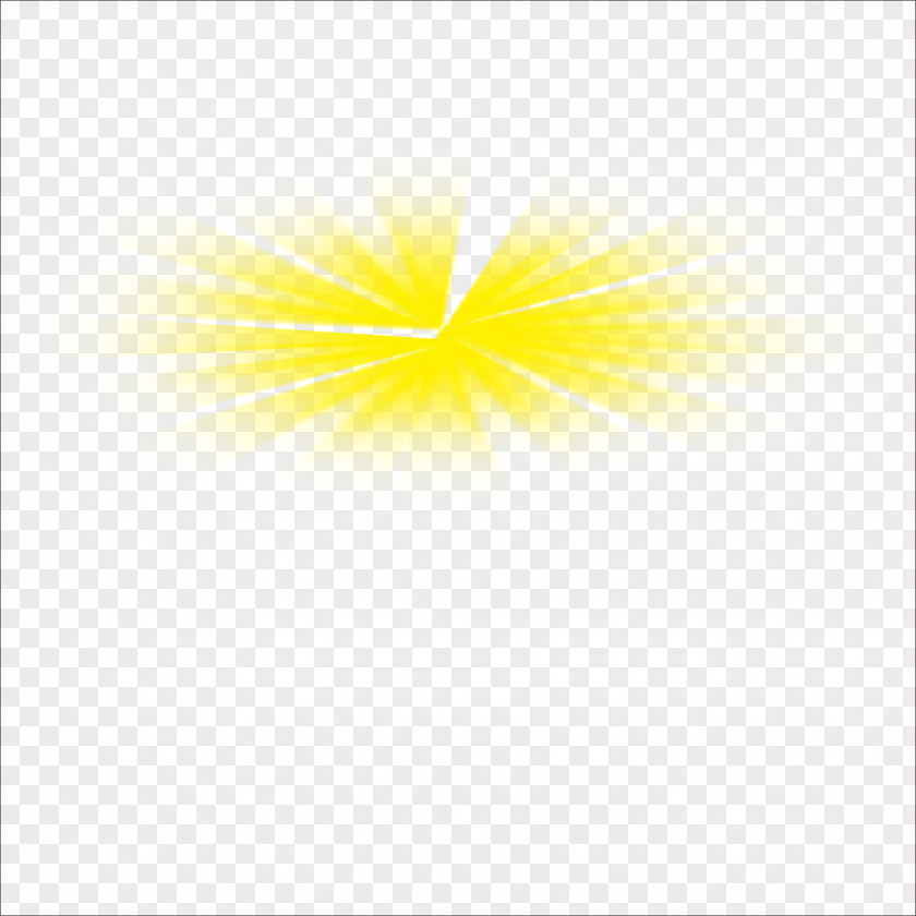 Light Effect Sky Sunlight Yellow Desktop Wallpaper Flower PNG