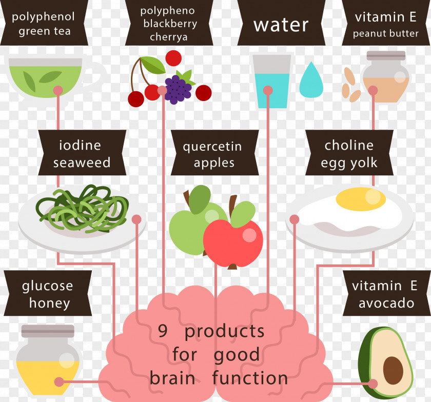 Food Healthy Diet Vector Graphics Image PNG
