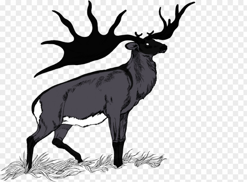 Irish Elk Reindeer Mammal Horse Cattle PNG