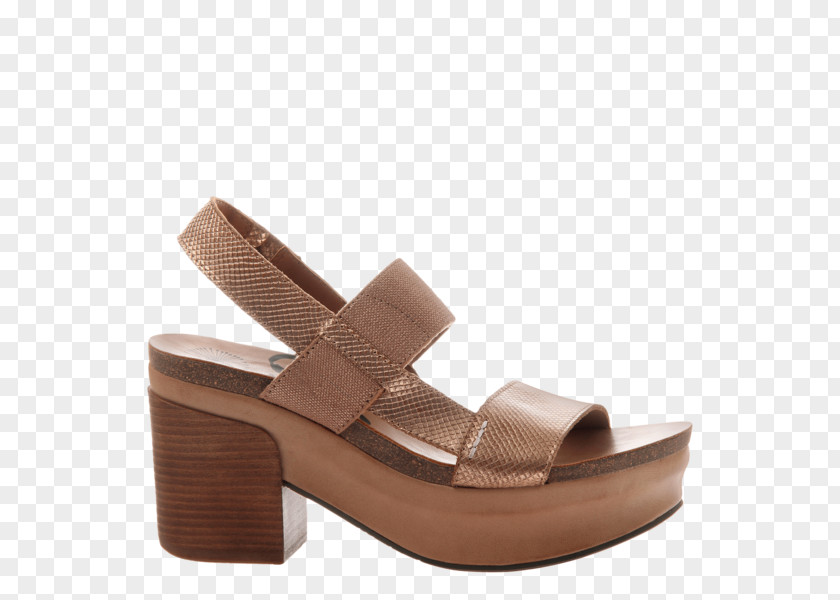 Sandal Slide Bronze Shoe PNG