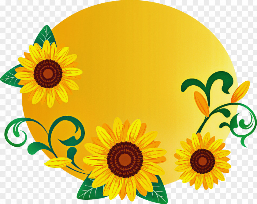 Sunflower Round Frame Floral PNG