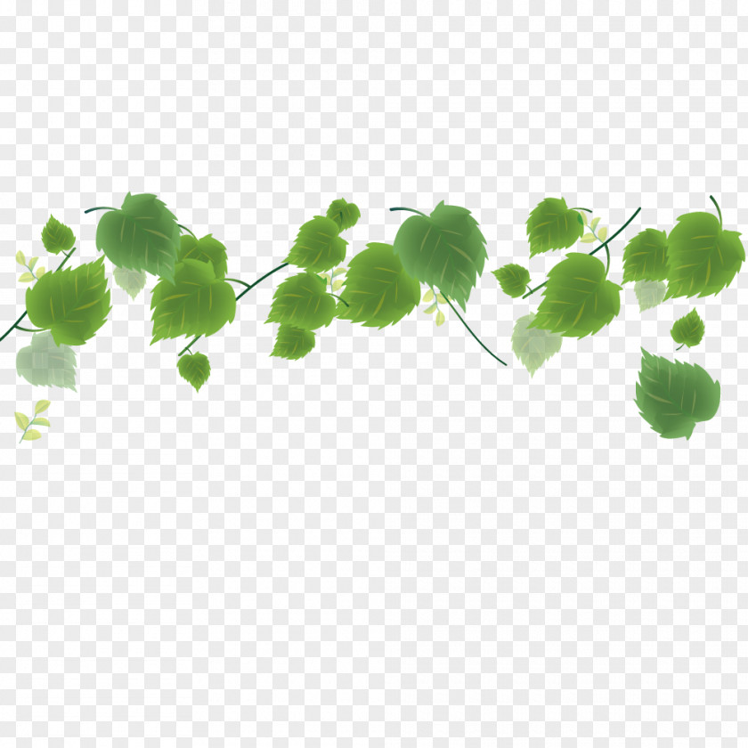 Vector Green Leaves PNG