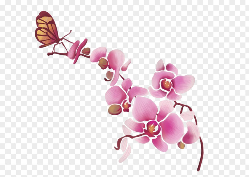 Blumenorchidee Wall Decal Orchids Lepidoptera Furniture PNG